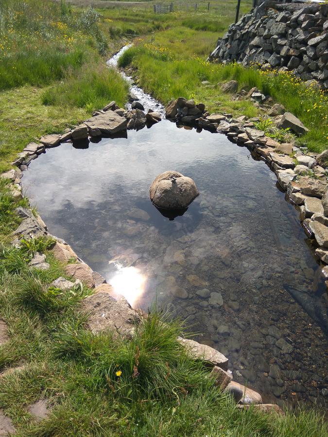 Hotel Laugarholl With Natural Hot Spring Holmavik Exterior photo